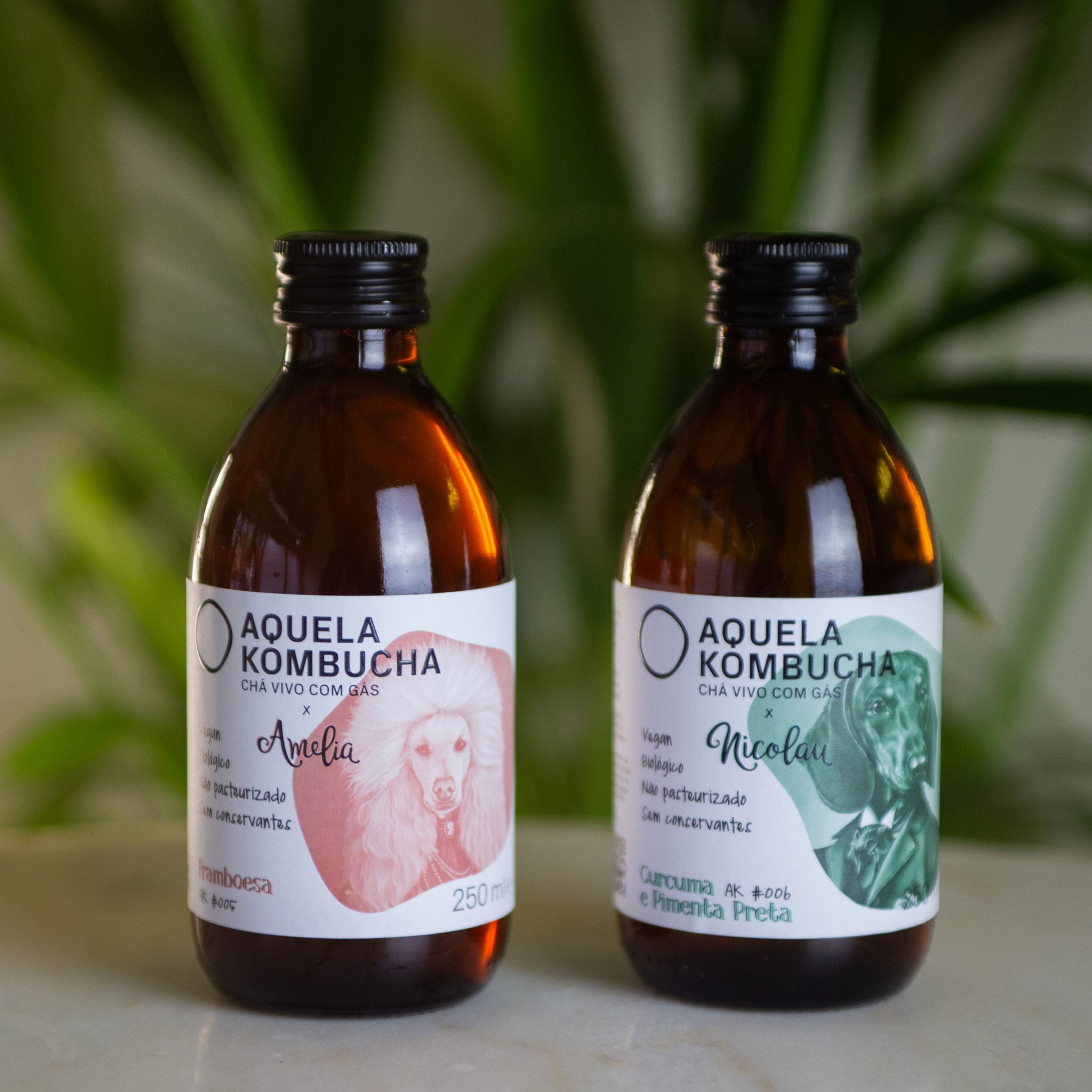 Aquela Kombucha Pack Multisabores Amélia Nicolau 1