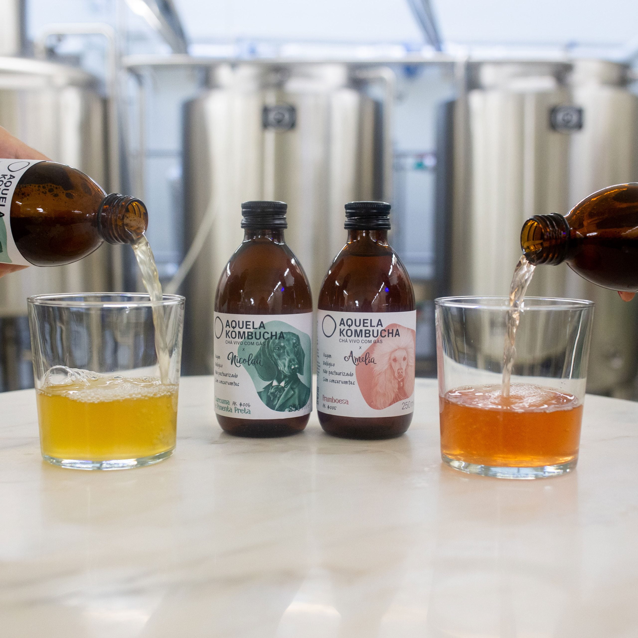 Aquela Kombucha Pack Multisabores Amélia Nicolau 4