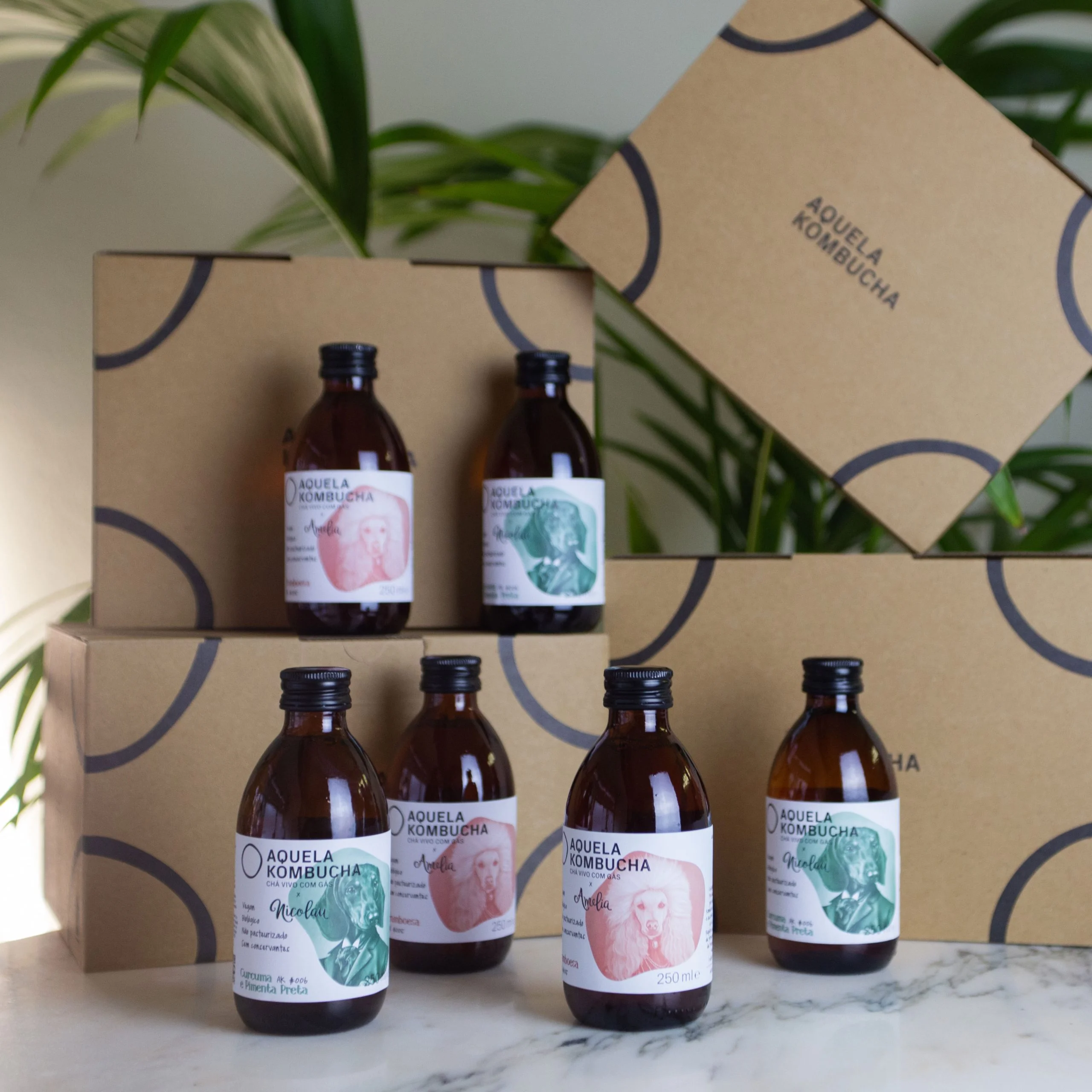 Aquela Kombucha Pack Multisabores Amélia Nicolau 5